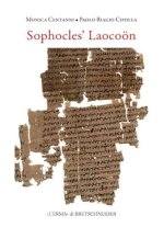 Sophocles' Laocoon