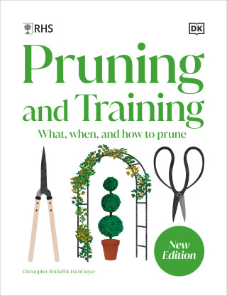 RHS Pruning and Training