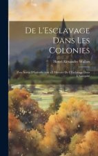 De L'Esclavage Dans Les Colonies: Pour Servir D'Introduction a L'Histoire De L'Esclavage Dans L'Antiquité