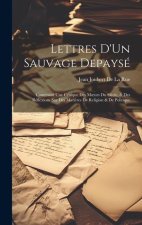 Lettres D'Un Sauvage Depaysé: Contenant Une Critique Des Moeurs Du Si?cle, & Des Réflexions Sur Des Mati?res De Religion & De Politique