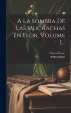 A La Sombra De Las Muchachas En Flor, Volume 1...