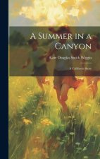 A Summer in a Canyon: A California Story