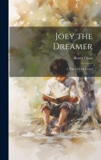 Joey the Dreamer: A Tale of Clay Court