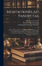 Meditationes Ad Pandectas: Qvibvs Praecipva Jvris Capita Ex Antiqvitate Explicantvr, Cvm Jvribvs Recentioribvs Confervntur, Atqve Variis Celebriv