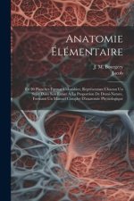 Anatomie Élémentaire: En 20 Planches Format Colombier, Représentant Chacun Un Sujet Dans Son Entier ? La Proportion De Demi-nature, Formant