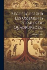 Recherches Sur Les Ossements Fossiles De Quadrup?des...