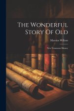 The Wonderful Story Of Old: New Testament History