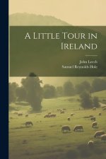 A Little Tour in Ireland