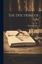 The Doctrine of Sin