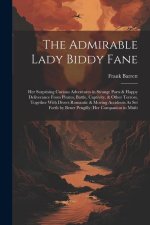 The Admirable Lady Biddy Fane: Her Surprising Curious Adventures in Strange Parts & Happy Deliverance From Pirates, Battle, Captivity, & Other Terror