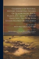 Gleanings Of Natural History, Exhibiting Figures Of Quadrupedes, Birds, Plants, Etc. Most Of Which Have Not, Till Now, Been Either Figured Or Describe