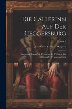 Die Gallerinn Auf Der Rieggersburg: Historischer Roman Mit Urkunden: In 3 Theilen. Die Huldigung U. D. Verschwörung; Volume 2
