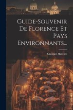Guide-souvenir De Florence Et Pays Environnants...