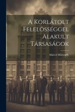 A Korlátolt Felelösséggel Alakult Társaságok
