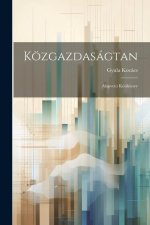 Közgazdaságtan: Alapvetö Kézikönyv