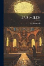 Bris mileh