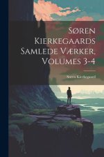 S?ren Kierkegaards Samlede V?rker, Volumes 3-4