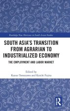 South Asia's Transition from Agrarian to Industrialized Economy
