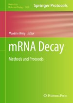 Mrna Decay