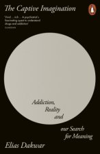 The Captive Imagination