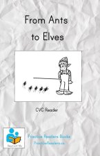 From Ants to Elves: CVC Reader