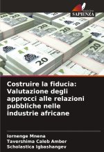 Costruire la fiducia: Valutazione degli approcci alle relazioni pubbliche nelle industrie africane