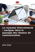 Le royaume interconnecté : naviguer dans le paysage des réseaux de communication