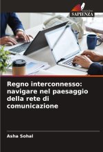 Regno interconnesso: navigare nel paesaggio della rete di comunicazione