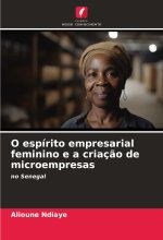 O espírito empresarial feminino e a criaç?o de microempresas