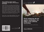 Virus entéricos de las aguas residuales, los lodos y los cultivos hortícolas
