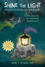 Shine the Light - Enlightened Leadership
