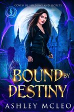 Bound by Destiny