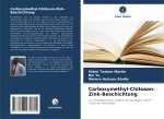 Carboxymethyl-Chitosan-Zink-Beschichtung