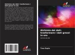 Alchimia dei dati: trasformare i dati grezzi in oro