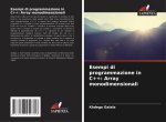 Esempi di programmazione in C++: Array monodimensionali