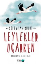 Leylekler Ucarken
