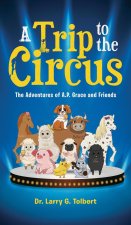 A Trip to the Circus