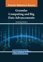 Granular Computing and Big Data Advancements