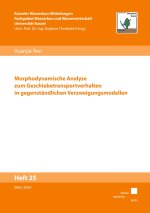 Morphodynamische Analyse zum Geschiebetransportverhalten in gegenständlichen Verzweigungsmodellen