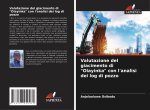 Valutazione del giacimento di 