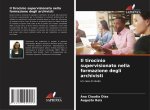 Il tirocinio supervisionato nella formazione degli archivisti