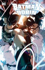 BATMAN & ROBIN V02