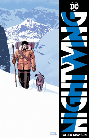 NIGHTWING V07 FALLEN GRAYSON