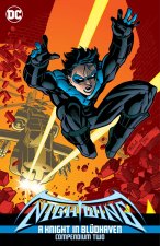 NIGHTWING KNIGHT IN BLUDHAVEN COMPENDIUM