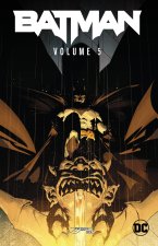 BATMAN V05