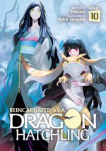 REINCARNATED AS A DRAGON [LN] V10