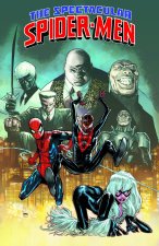 SPECTACULAR SPIDERMEN V02