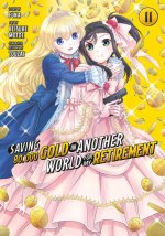 SAVING 80000 GOLD IN ANOTHER WORLD V11