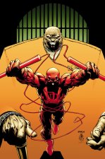 DAREDEVIL MODERN ERA EPIC COLL DEVIL IN