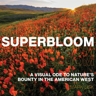 SUPERBLOOM